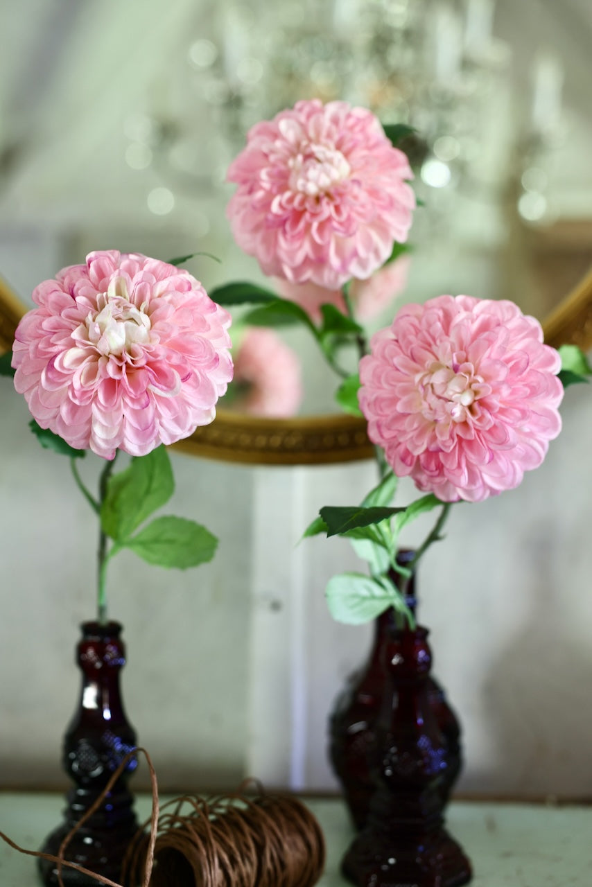 Pink Dahlias French Market Blooms