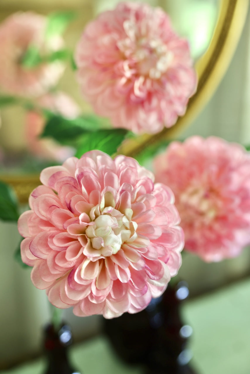 Pink Dahlias French Market Blooms