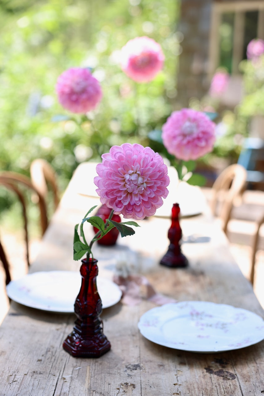 Pink Dahlias French Market Blooms