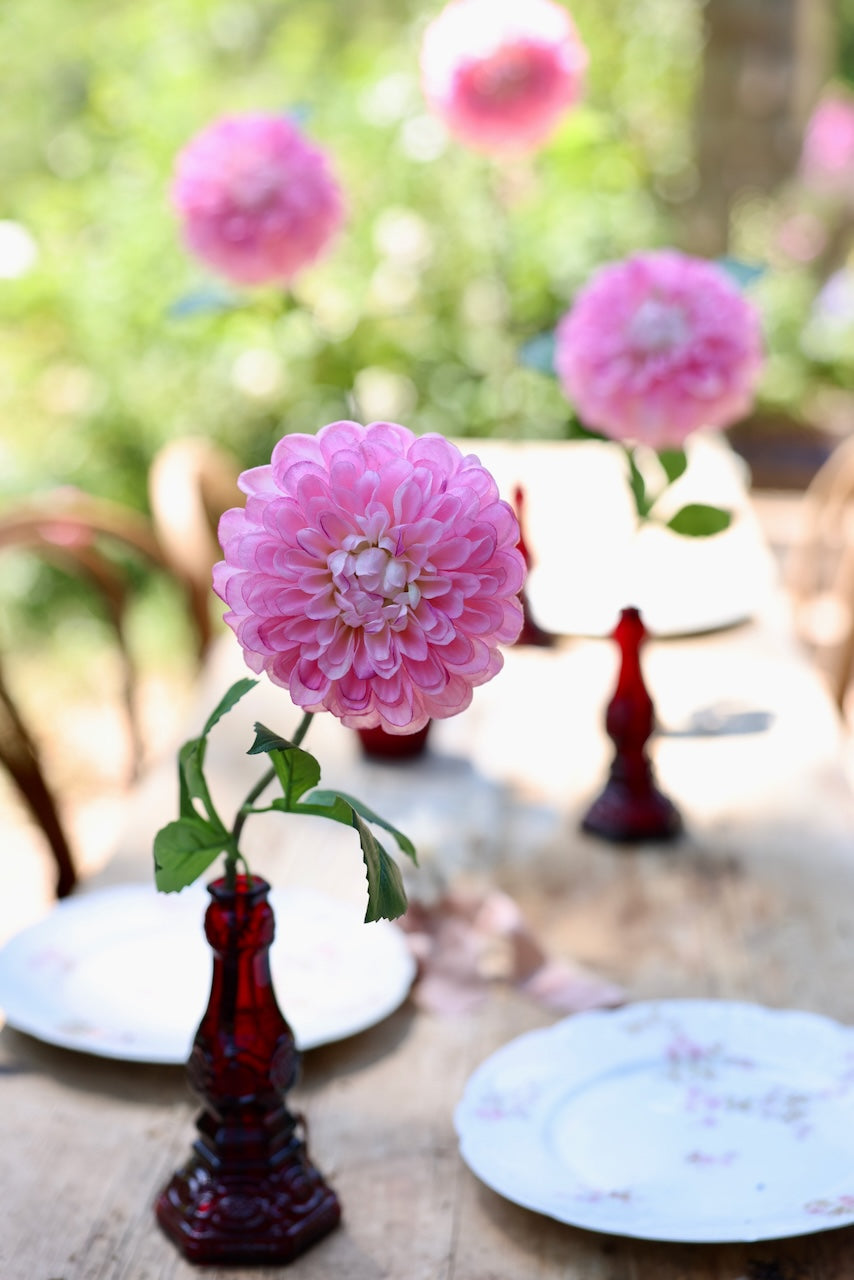 Pink Dahlias French Market Blooms
