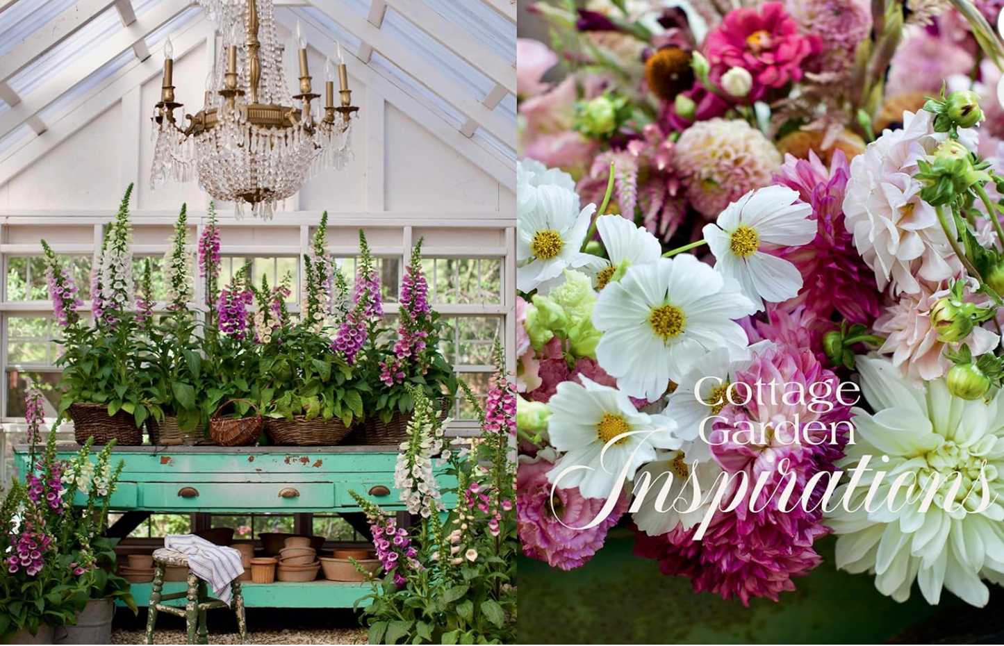 PREORDER MY NEW BOOK French Country Cottage In Bloom